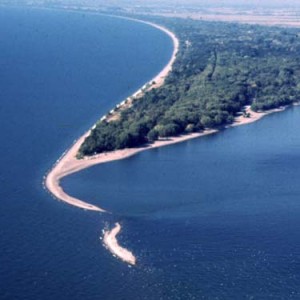 Point Pelee