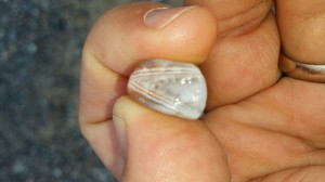 Lake Superior Agate found in Grand Marais